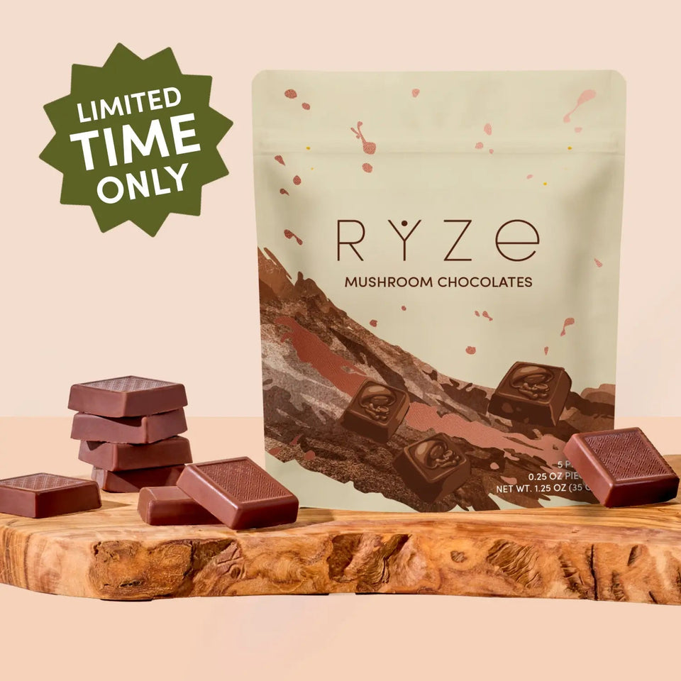 Mushroom Chocolates Rye (15 pieces) - Active Sip Style